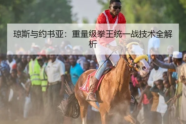 琼斯与约书亚：重量级拳王统一战技术全解析